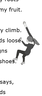 Climbing Wall